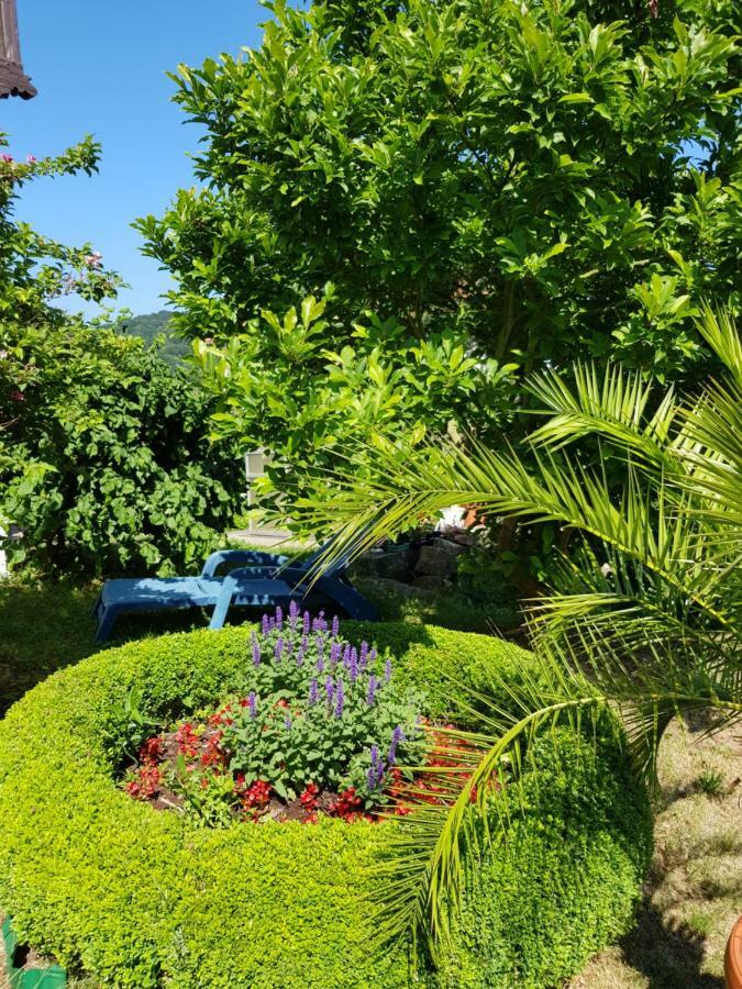 באד ליבנשטיין Villa Charlotte מראה חיצוני תמונה